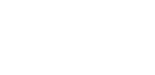 Logo da Dra. Cecília Scheid